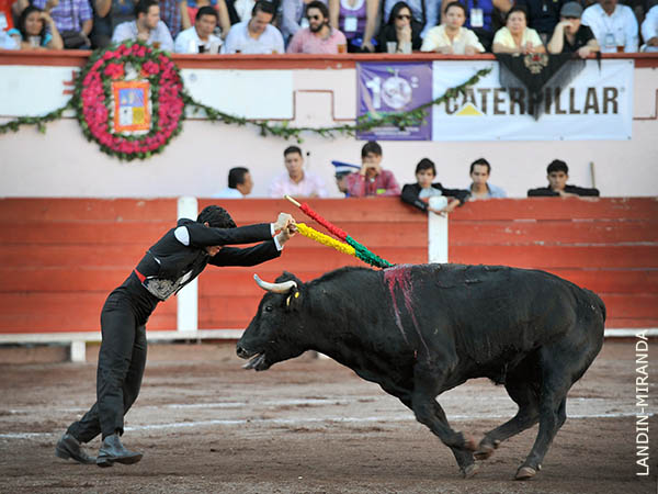 Aldo le adorna el morrillo