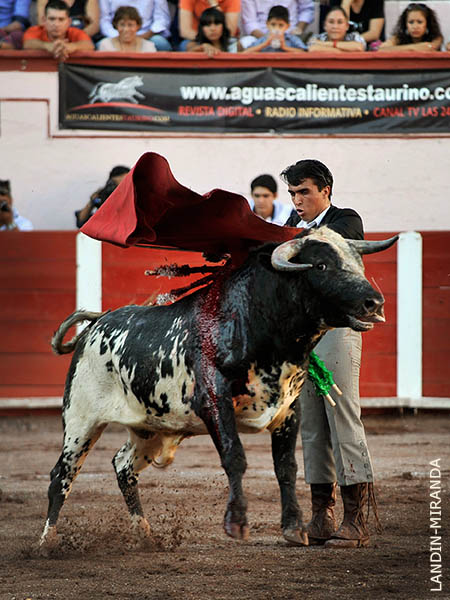 Ep�logo de estatuarios