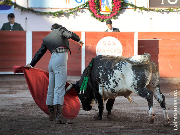 Noble en la embestida