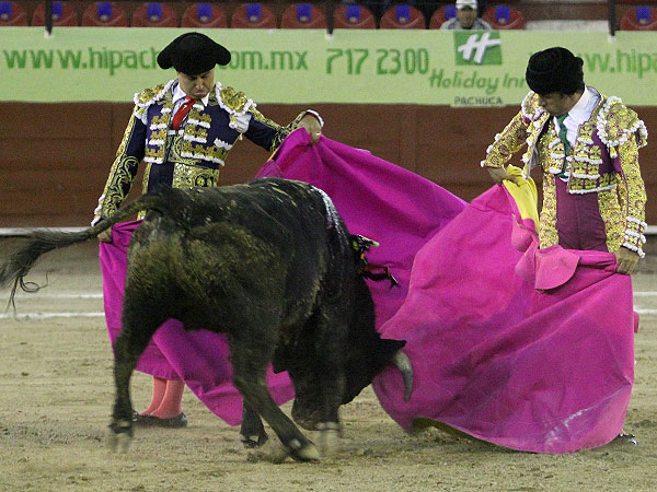 Al alim�n con Gallardo