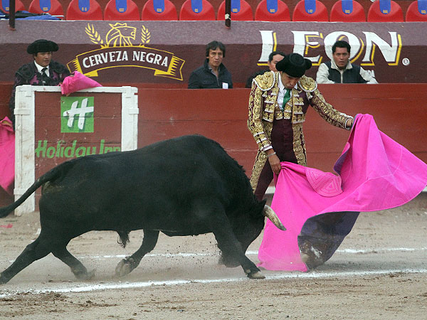 Cadenciosa Ver�nica