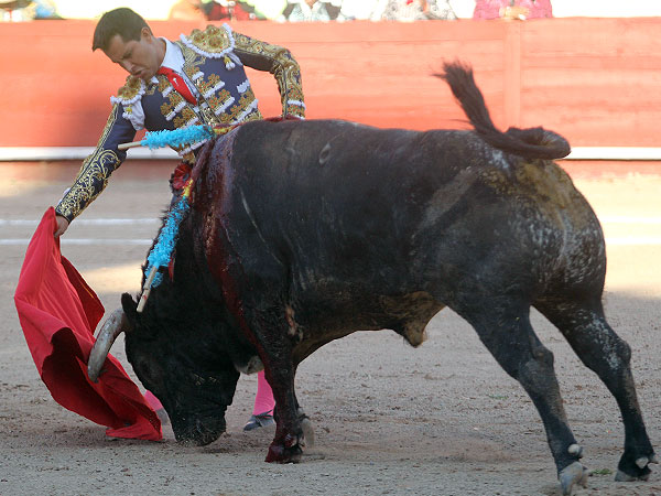 Gallardo en gran momento
