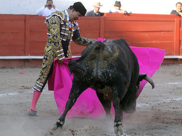Luis Gallardo la elegancia