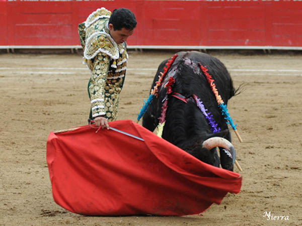 Pronto, noble, obediente y emotivo