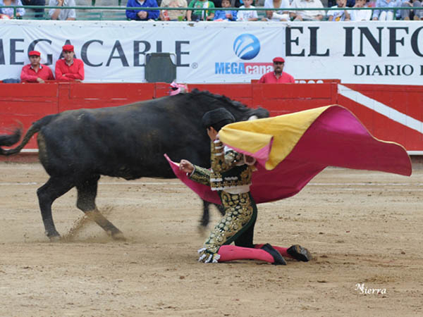 Lo recibi� de hinojos