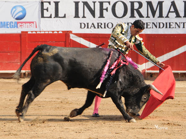 Obediente a los enga�os