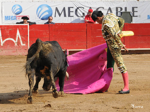 Abrochando el saludo