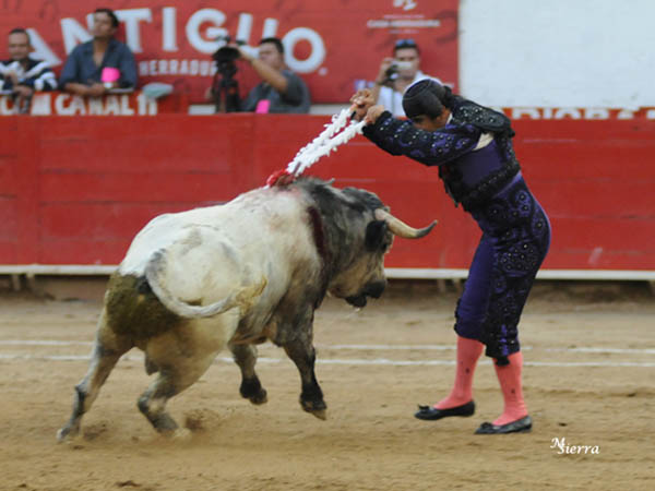 Caminito, ovacionado en el sexto
