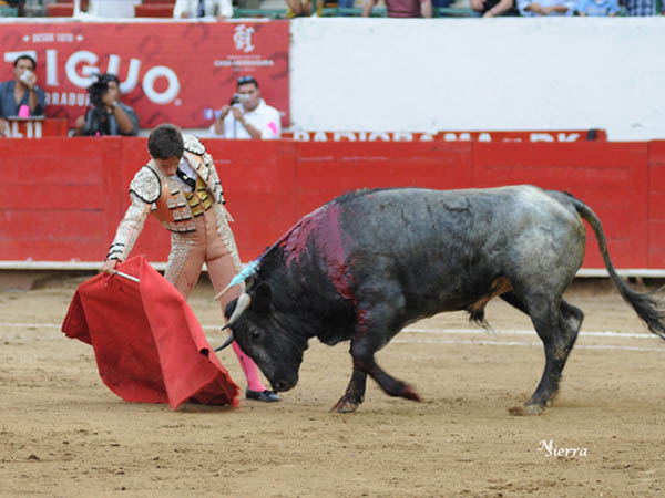 Tiene s�lidas maneras