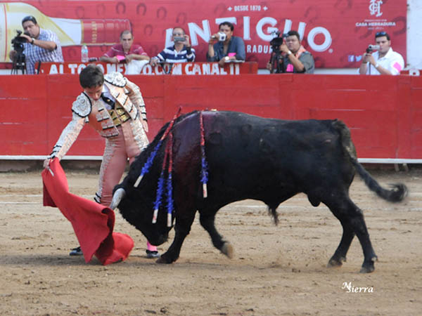 Paso a paso la faena