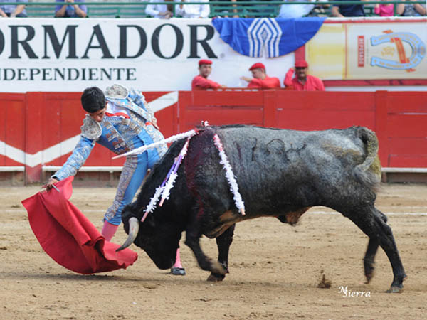 Las buenas series por derecha