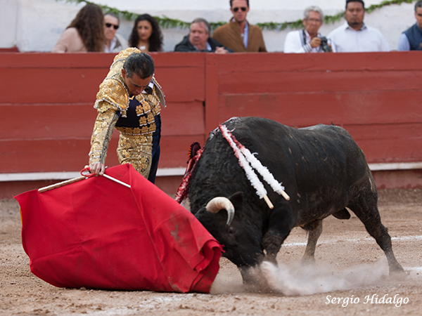 Zotoluco, siempre profesional