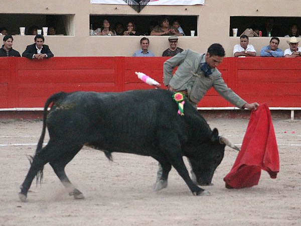 Vale la pena volverlo a ver