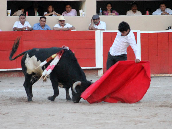 Tirando del ejemplar