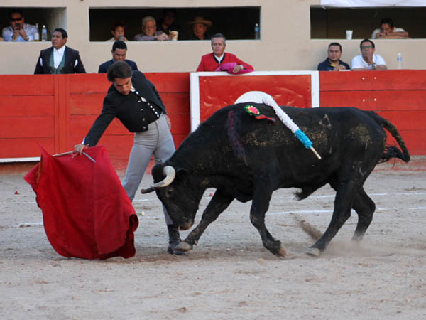 Realiz� una bonita faena