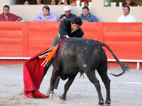 Un ca��n en el brazo