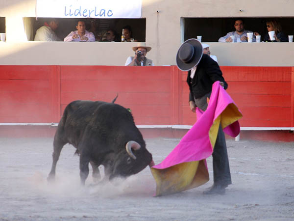 Realiz� unas ver�nicas enormes