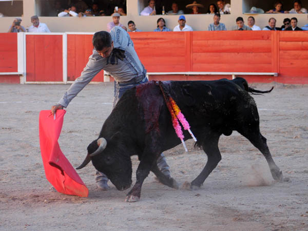 Con la sarga anduvo enorme