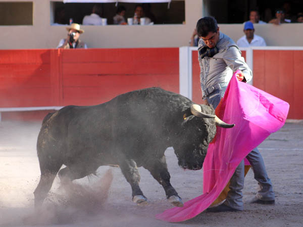 El capote de �scar San Rom�n