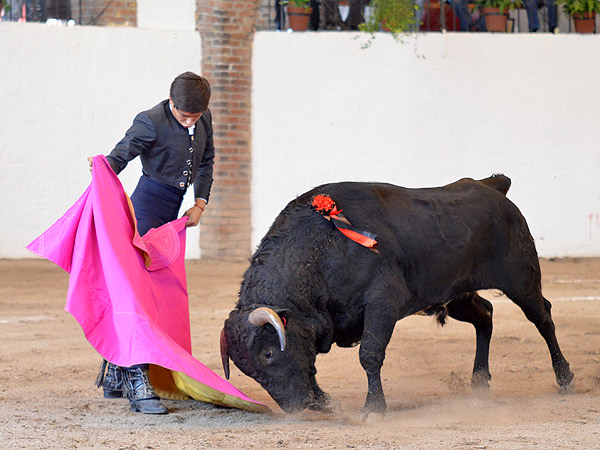 Una ver�nica de Pastor