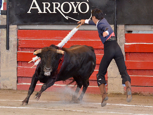 Un viol�n con sello propio