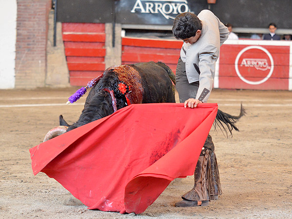 Estupendo trazo natural