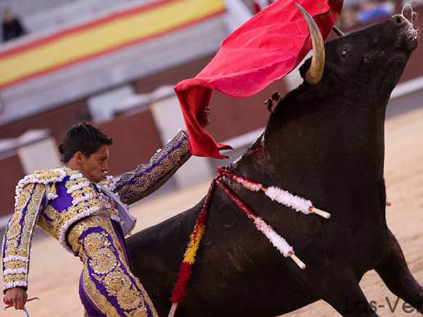 No fue reconocida a cabalidad