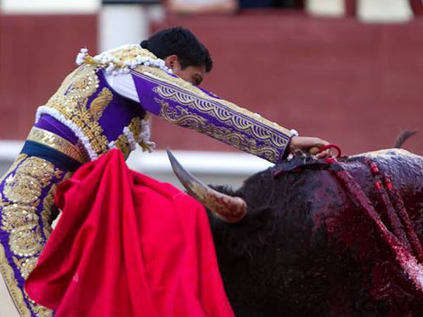 Despach� de entera