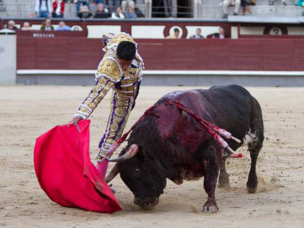 Rematados por debajo de la pala