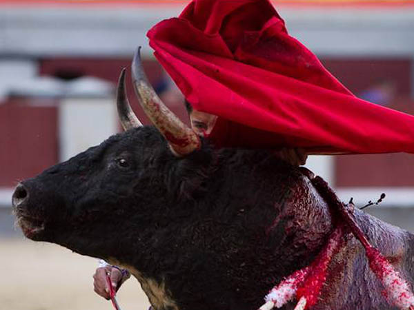 Labor enjundiosa y meritoria