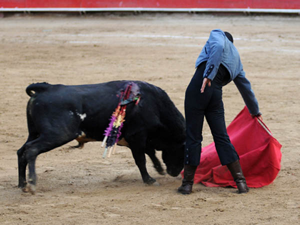 Arrastrando la franela