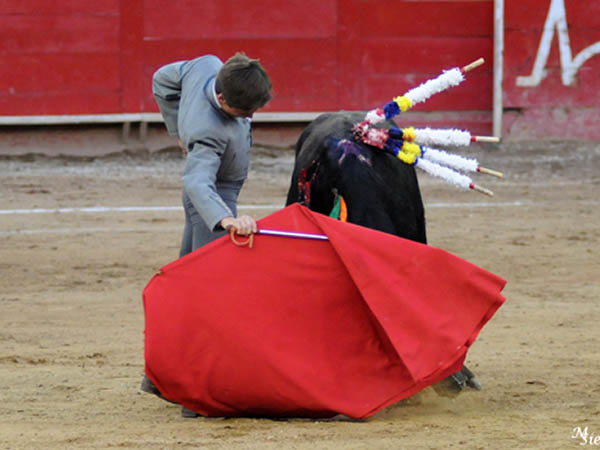 Llev�ndolo toreado