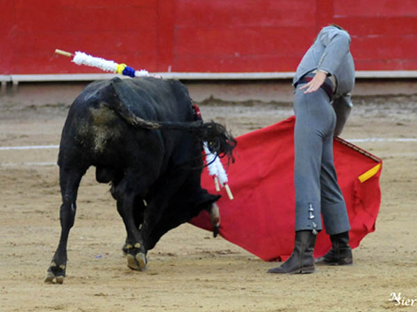 Calidad en la embestida