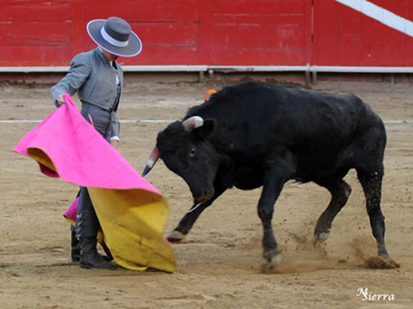 Juan Pedro a la ver�nica