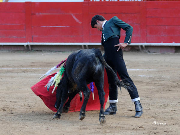 Particular expresividad