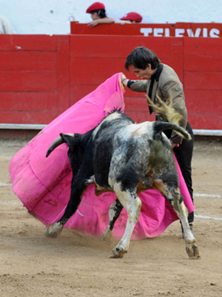 Saludo de Miramontes