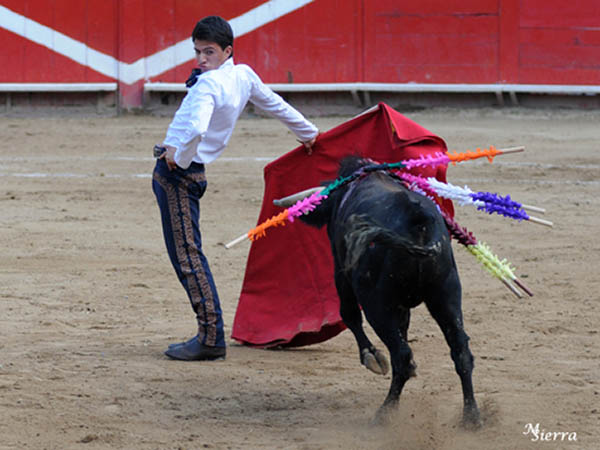 Pr�logo del Panita