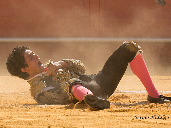 Con la cornada en el pecho