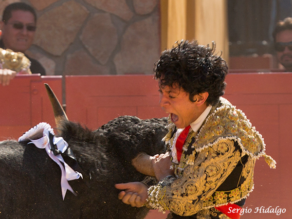 Colgado del pit�n derecho