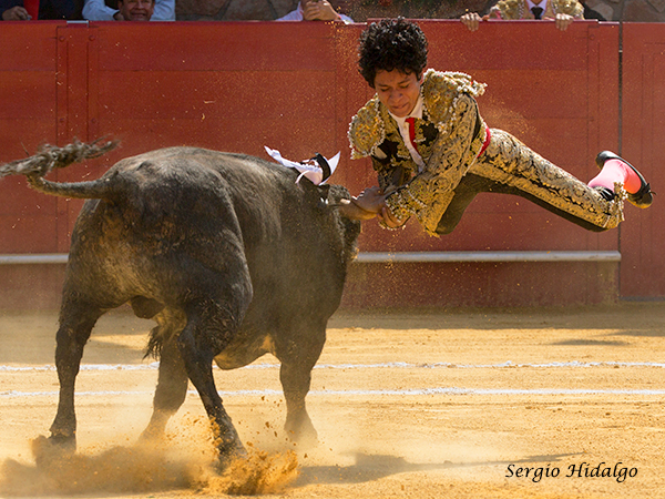 Momento de la cornada