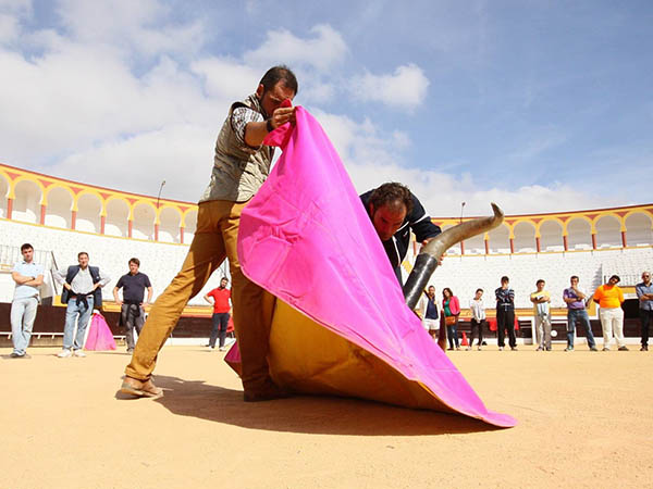 Lecciones de primer tercio