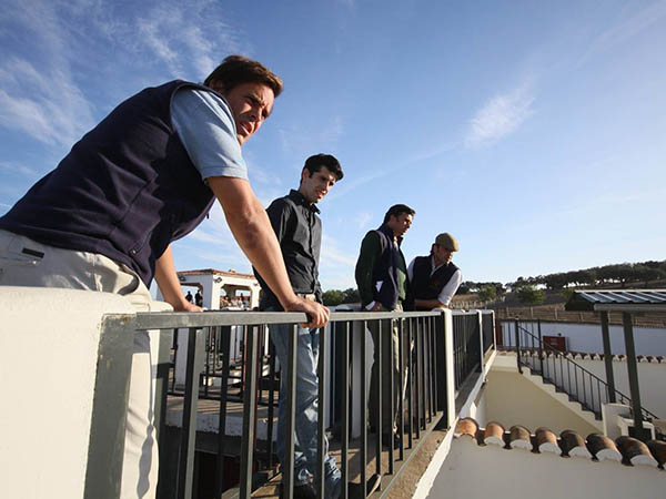 Rese�ando las eralas