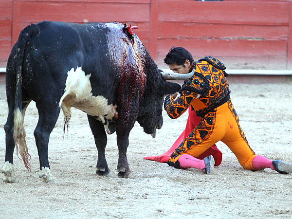 Metido entre los pitones