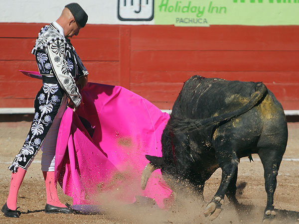 Dibujando con lentitud la media