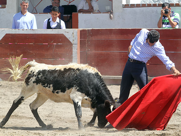 Disfrutando la embestida
