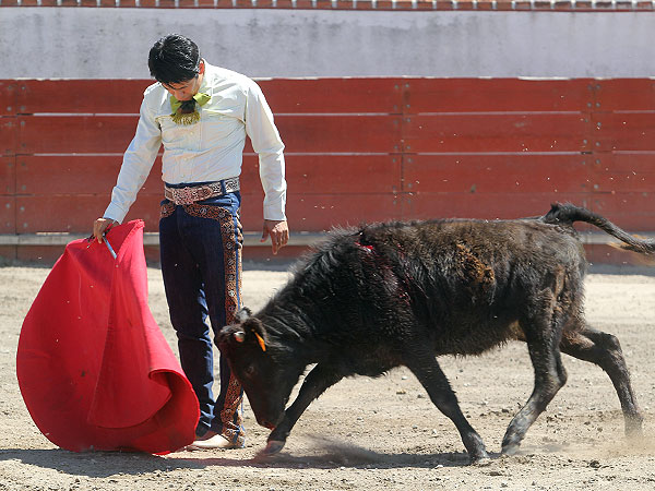 Reposo y verticalidad