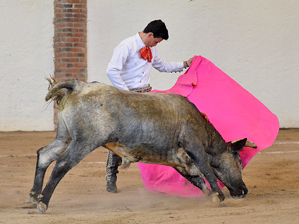 El Galo se abre de capa