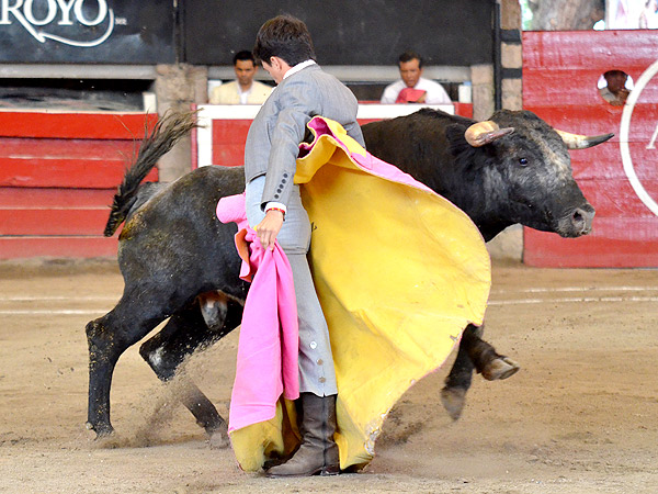 Las chicuelinas de El Panita