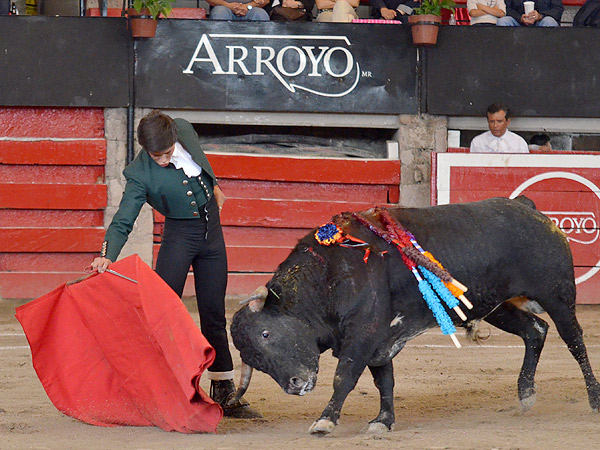 Embarcando la embestida