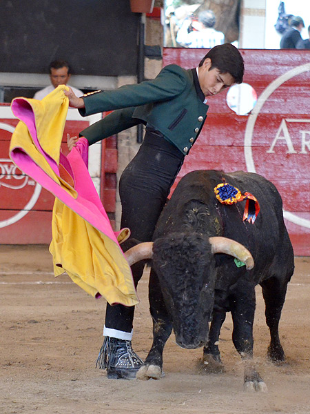 Pastor, muy ajustado